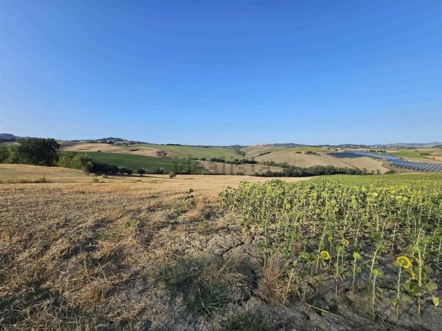 Terreno in vendita a Pitino, Marche