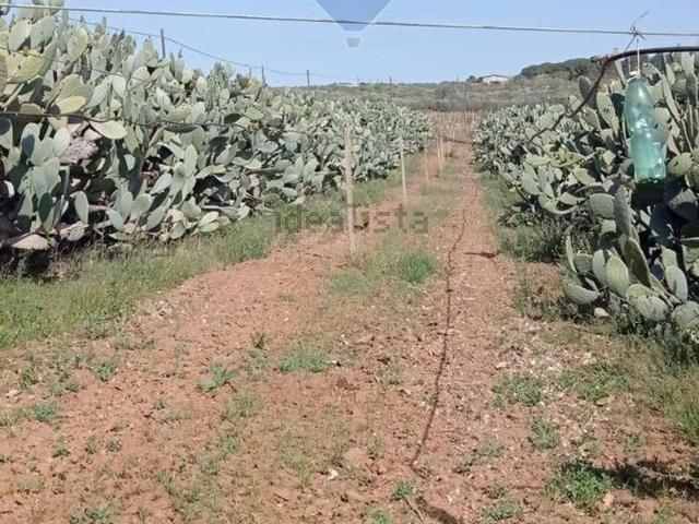 Terreno in vendita a Caltagirone, Sicilia