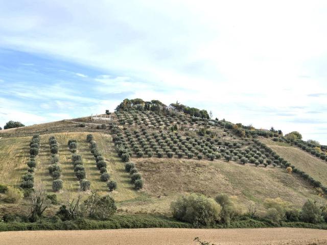 Terreno in vendita a Marche, Ascoli Piceno