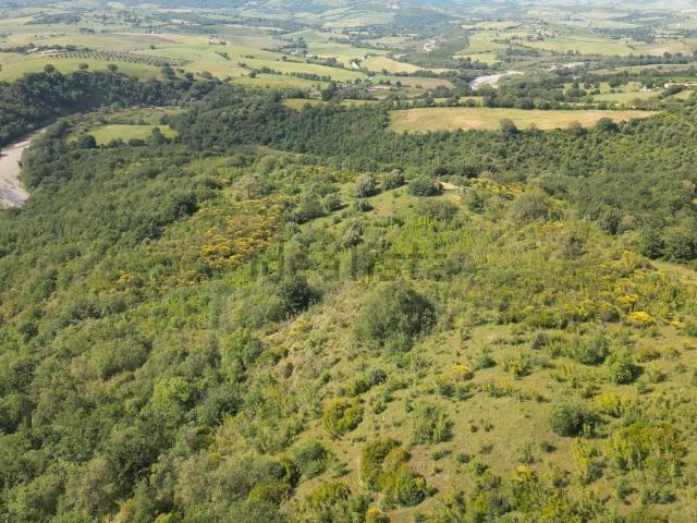 Terreno in vendita a Unione di Comuni Montani Colline del Fiora, Manciano