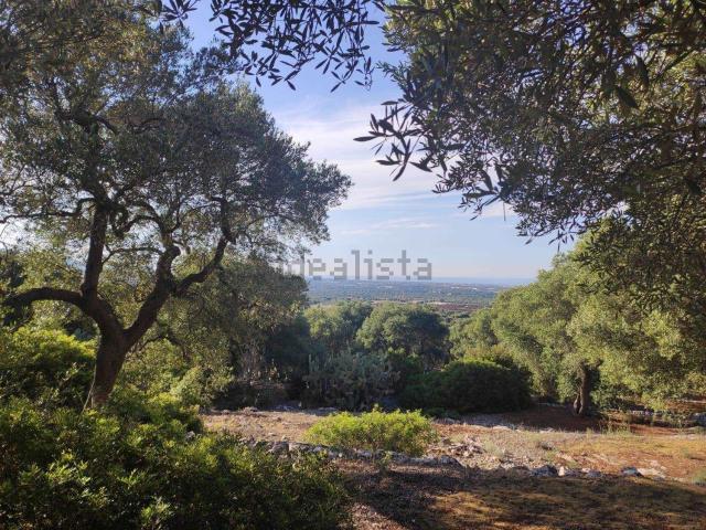 Terreno in vendita a Puglia, Brindisi