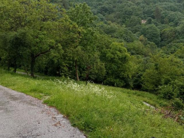 Terreno in vendita a Torrebelvicino, Veneto