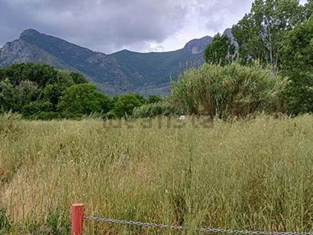 Terreno in vendita a Venafro, Molise