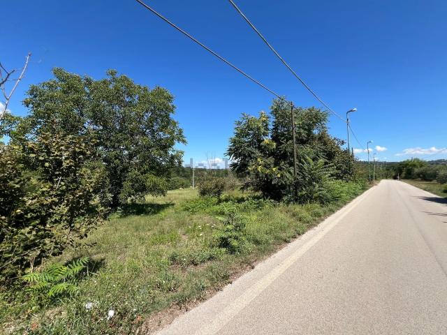 Terreno in vendita a Taurasi, Campania