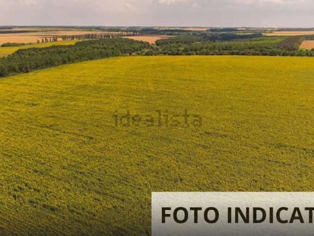 Terreno in vendita a Sorbolo, Reggio Emilia