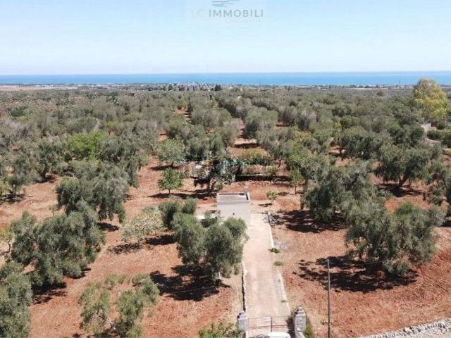 Terreno in vendita a Puglia, Brindisi
