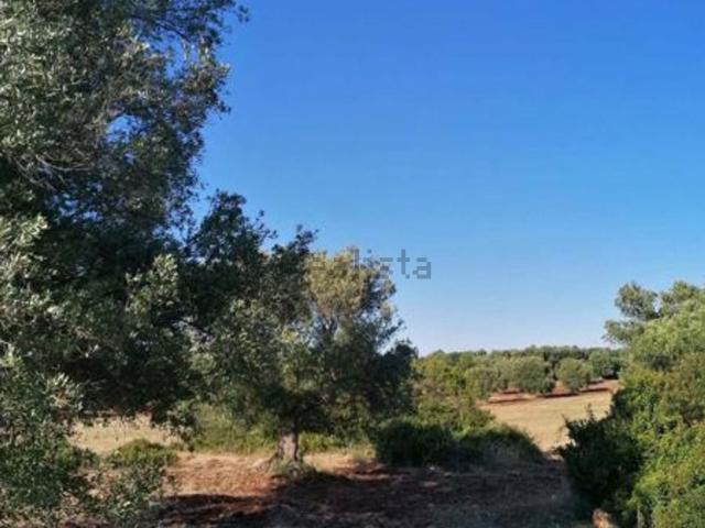 Terreno in vendita a Puglia, Brindisi