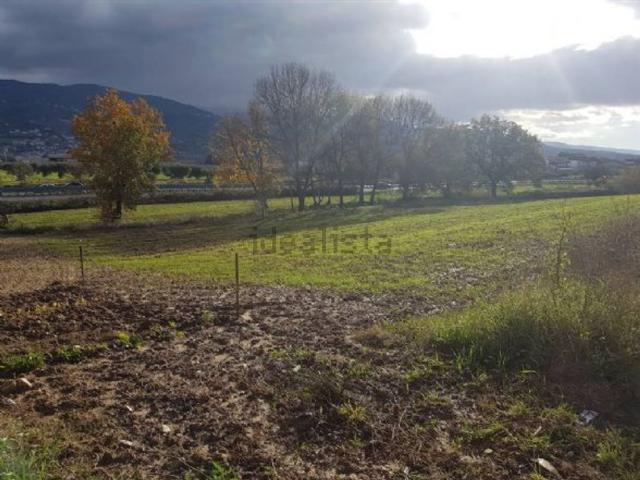 Terreno in vendita a Calabria, Cosenza