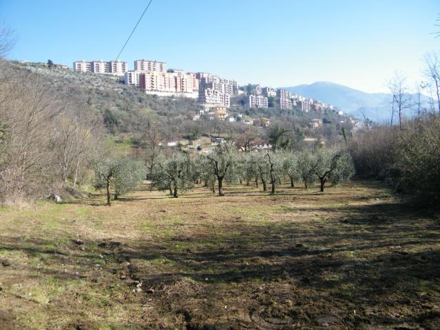 Terreno in vendita a Alatri, Frosinone