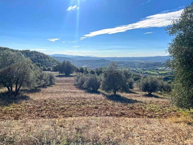Terreno in vendita a Unione dei Comuni Montani Amiata Grossetana, Semproniano