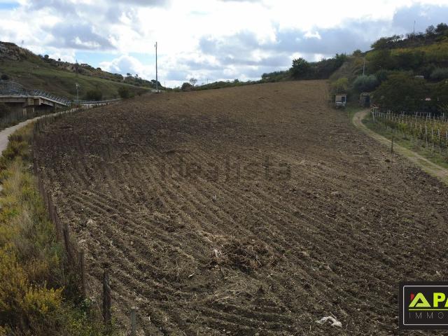 Terreno in vendita a Canicattì E Borgalino, Sicilia