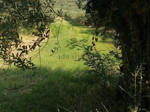 Terreno in vendita a Monte, Colognola Ai Colli