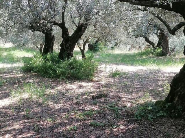 Terreno in vendita a Monte, Colognola ai Colli