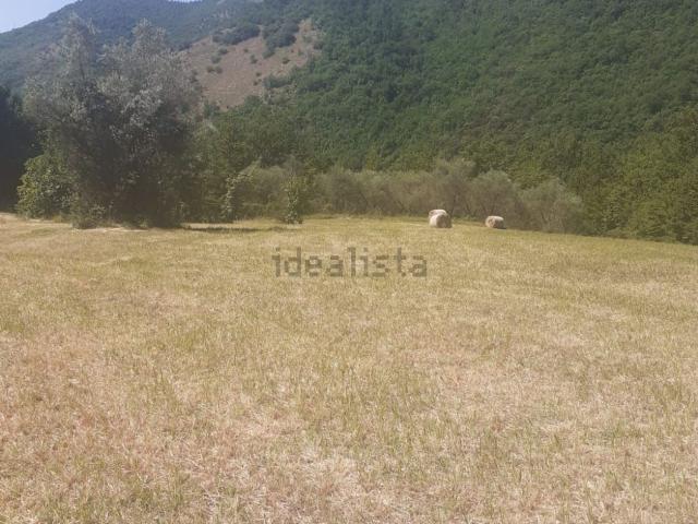 Terreno in vendita a Sant'elia Fiumerapido, Lazio