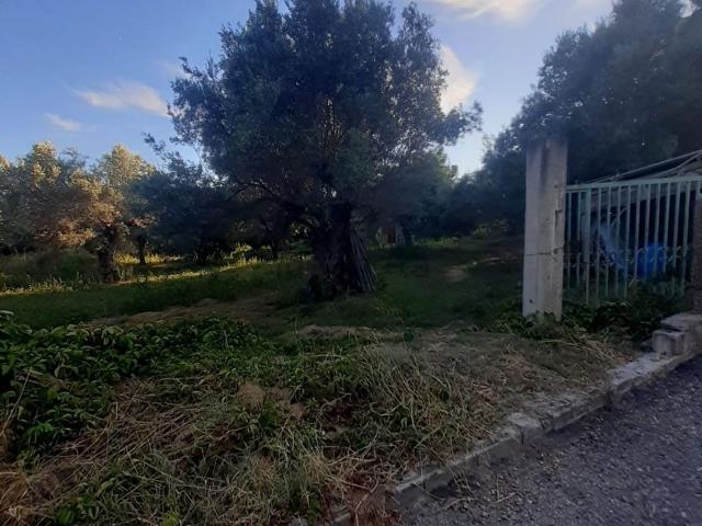 Terreno in vendita a Santa Maria, Catanzaro