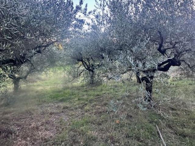 Terreno in vendita a Alatri, Lazio