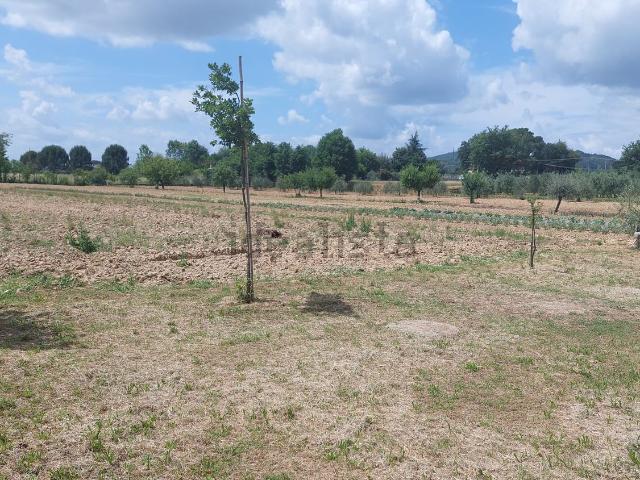 Terreno in vendita a Palazzo Del Pero, Toscana