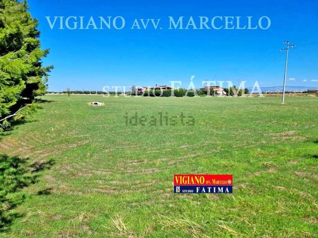 Terreno in vendita a Puglia, Foggia