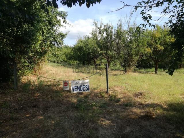 Terreno in vendita a Piemonte, Alessandria