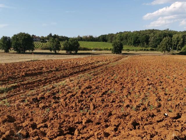 Terreno in vendita a Monteriggioni, Toscana