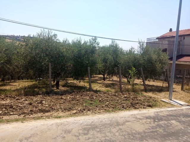 Terreno in vendita a Castel Frentano, Chieti