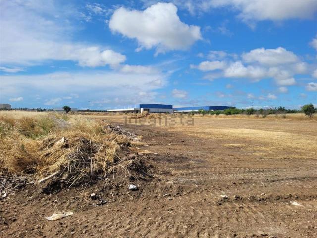 Terreno in vendita a Puglia, Foggia