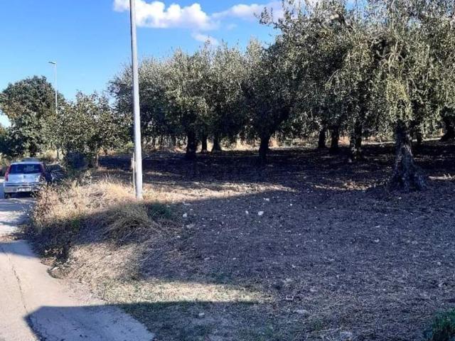 Terreno in vendita a Monteodorisio, Abruzzo