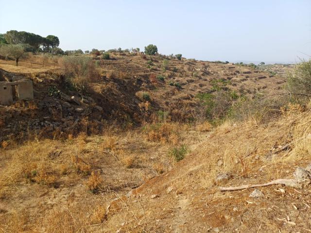Terreno in vendita a Grammichele, Sicilia