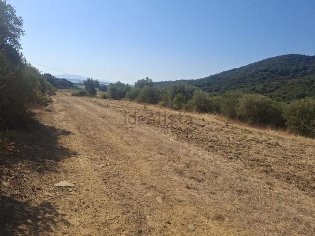 Terreno in vendita a Castiglione della Pescaia, Grosseto