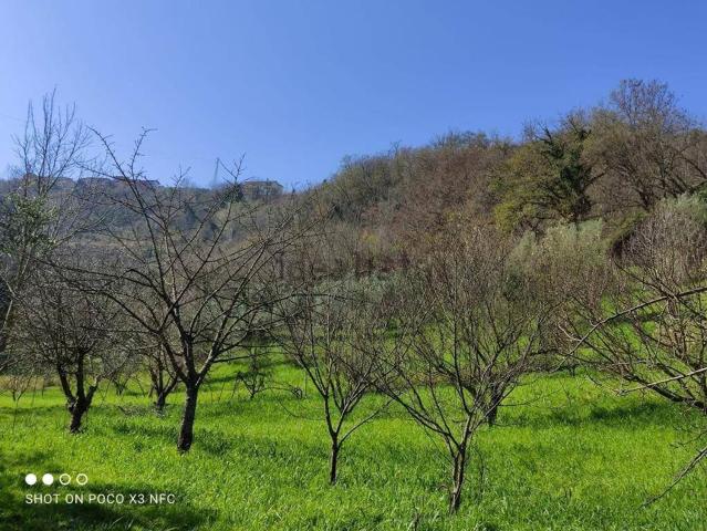 Terreno in vendita a Calabria, Cosenza