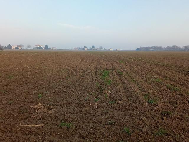 Terreno in vendita a Vescovana, Veneto