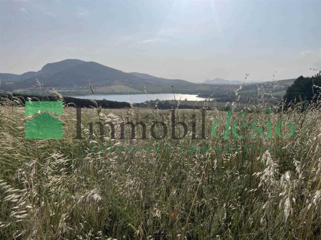 Terreno in vendita a Pignola, Basilicata