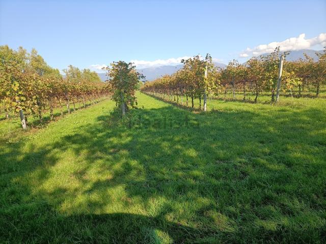 Terreno in vendita a Monticella, Conegliano