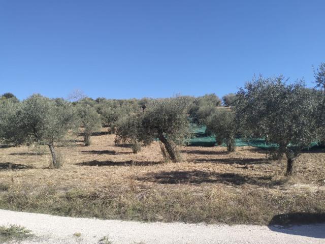 Terreno in vendita a Loreto Aprutino, Pescara