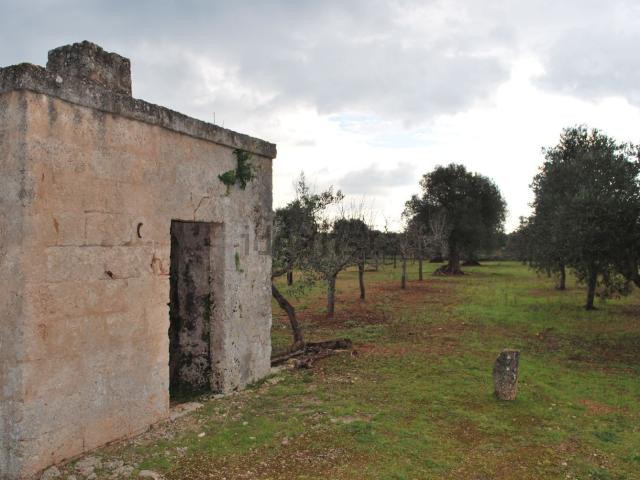 Terreno in vendita a Savelletri, Puglia