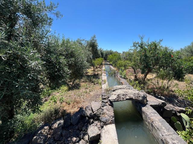 Terreno in vendita a Santa Maria Di Licodia, Sicilia