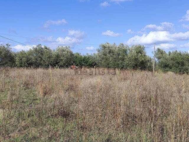 Terreno in vendita a Marta, Lazio