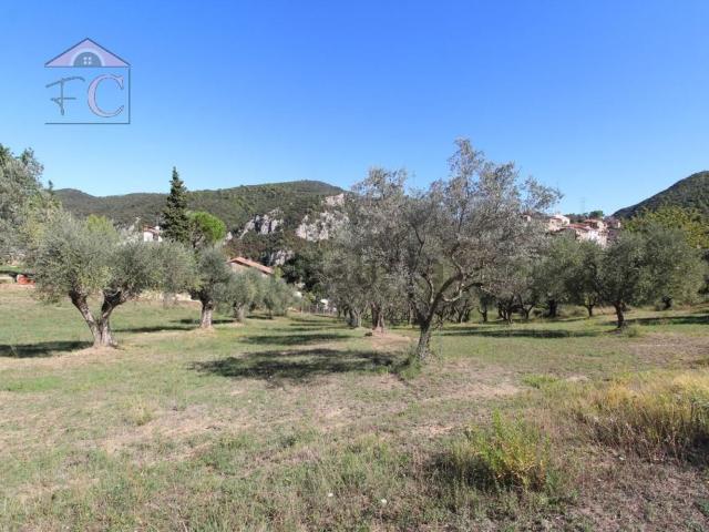 Terreno in vendita a Narni, Umbria
