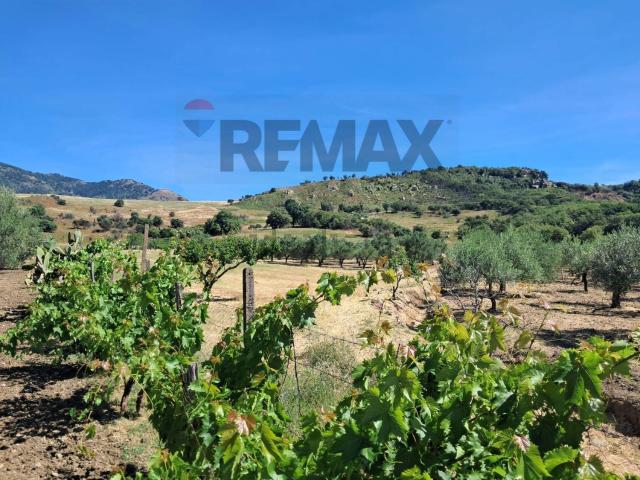 Terreno in vendita a Savoca, Sicilia