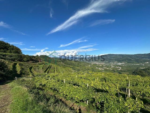 Terreno in vendita a Soave, Veneto
