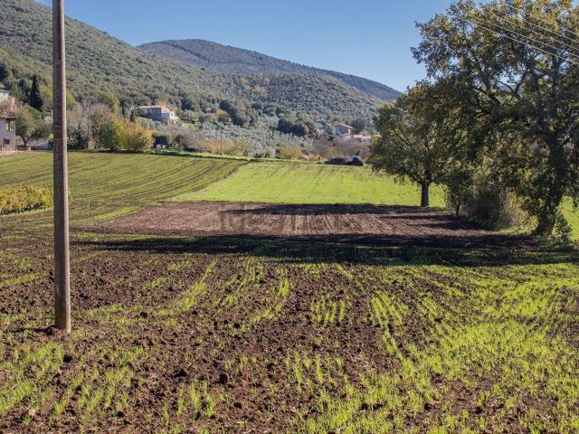 Terreno in vendita a Guardea, Umbria