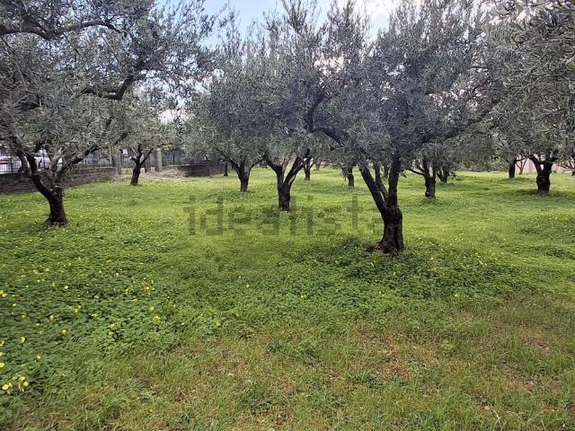 Terreno in vendita a Calabria, Cosenza