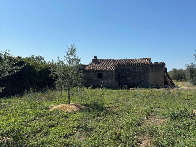 Terreno in vendita a Bolsena, Lazio
