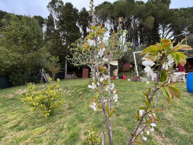 Terreno in vendita a Livorno, Toscana