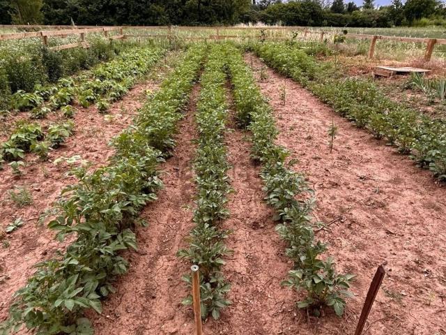 Terreno in vendita a Ovest, Brenzone