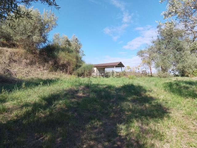 Terreno in vendita a Calabria, Cosenza