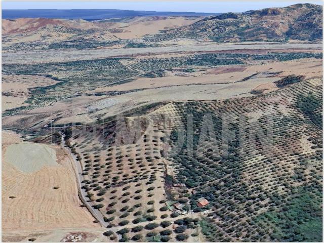 Terreno in vendita a Corigliano-Rossano, Calabria