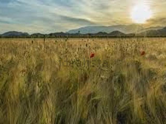 Terreno in vendita a Orvieto, Umbria
