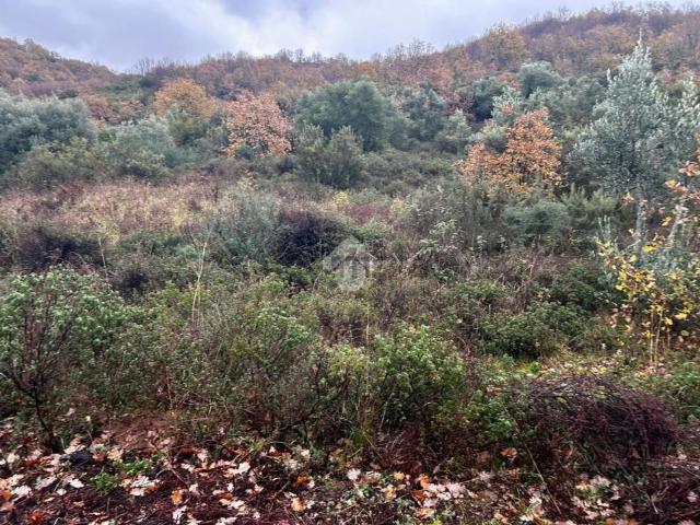 Terreno in vendita a Calabria, Cosenza