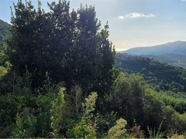 Terreno in vendita a Piemonte, Cuneo